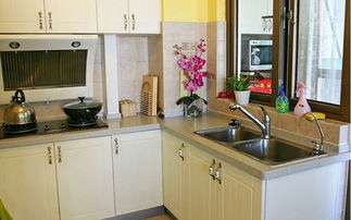 老板厨具评测 专业厨房与品质卫浴的明智之选